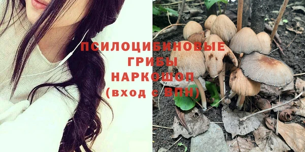 PSILOCYBIN Арсеньев