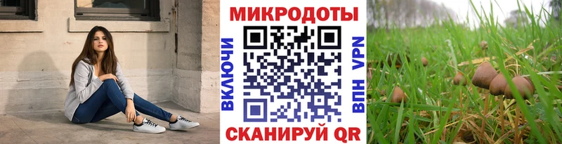 Псилоцибиновые грибы Psilocybe Глазов